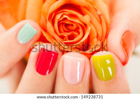 Close-up Of Manicured Nail With Nail Varnish On Rose
