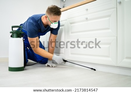 Pest Control Worker Spraying Insecticide In Domestic Kitchen Stock foto © 