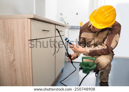 Pest Control Worker Spraying Pesticides On Wooden Drawer