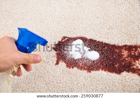 Close-up Of Person\'s Hand Cleaning Stain On Carpet