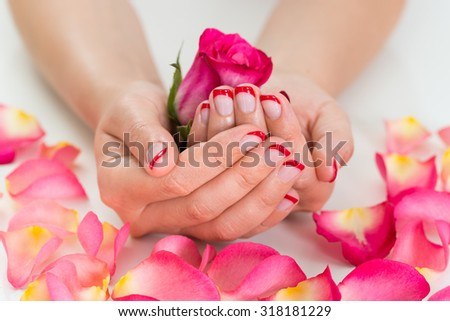 Close-up Of Woman Hands With Red Nail Varnish Holding Rose