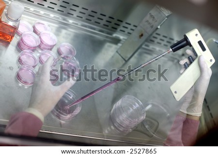 bio  lab worker