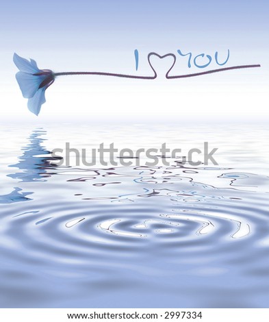 flower - water reflection - I love you - concept