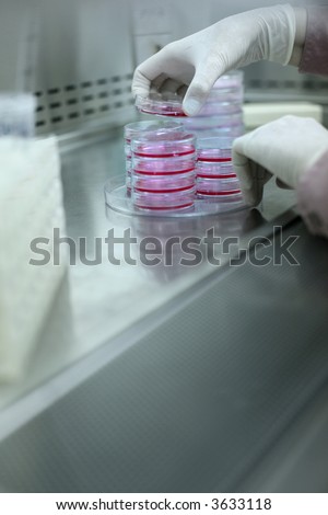 lab - biology industry