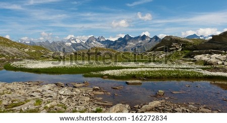 Mountain panorama with wool grass and mountain lake