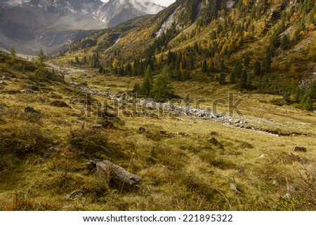 Autumn in the alpine upland valley