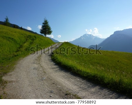 Mountain bike trail in the alps