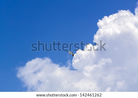 Sea birds flying against blue sky and clouds. Suitable for portrait or landscape backgrounds with sufficient area to permit cropping to show coming or going.