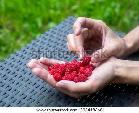 Handful of ripe raspberry filled in a female hand on table in the garden
