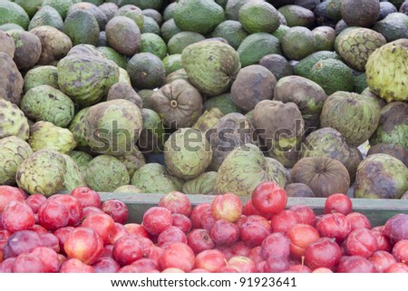 Plums, squashes and avocados on market - San Jose, Costa Rica