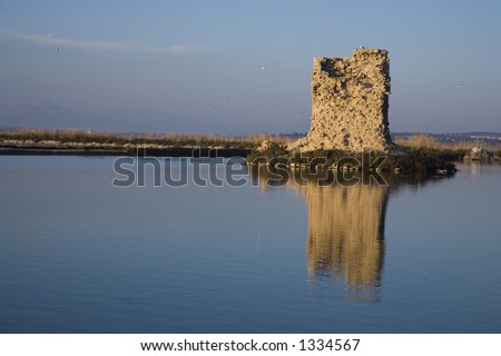 Mirror of the old tower on the lake surface , Spain