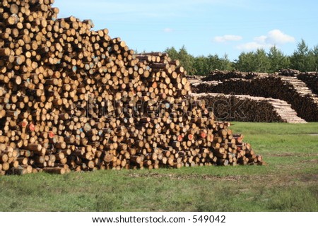 Log Piles