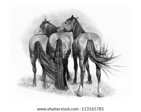 Pencil Drawing of Three Horses in Affectionate Pose