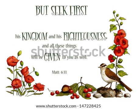 Bible Verse: Seek First God\'s Kingdom, Nature Art.  This Bible verse from the book of Matthew is surrounded by my drawings of a bird, some berries, hollyhocks, and poppies.