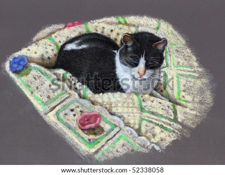 Color Pencil Drawing of Cat on Afghan
