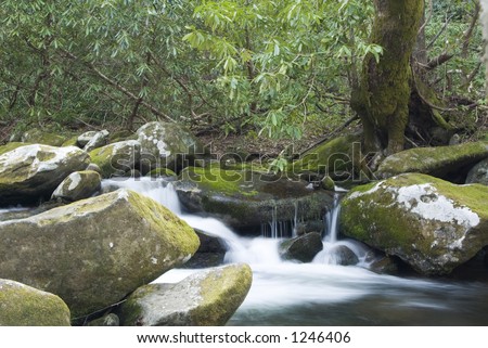 Waterfall and stream filled with Spring run-off