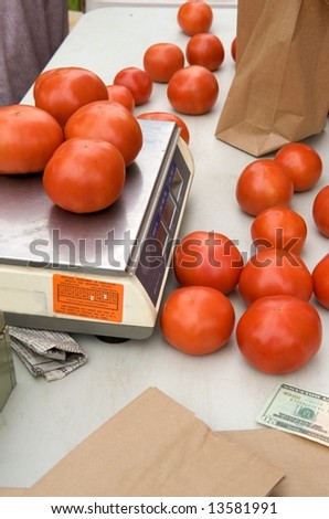 Just picked organically grown tomatoes being weighed for sale at local farm market