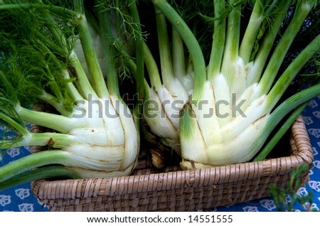 Horizontal photo of fresh fennel in basket at local farm market