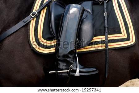 Horizontal photo of boot reversed in stirrup of riderless horse at military funeral