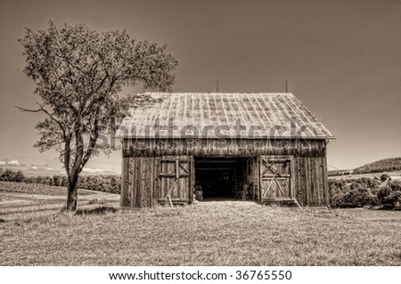 Old hay barn in field with single tree next to it