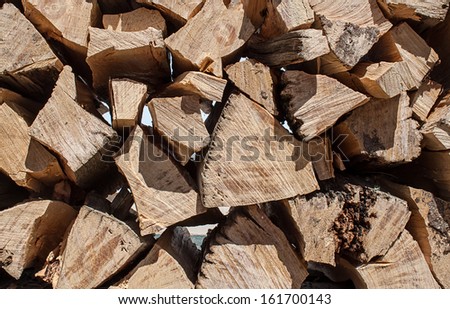woodpile of cut and split pinon or pinyon end grain prominent  macro