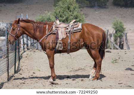 Sorrel horse with western saddle tied to corral.