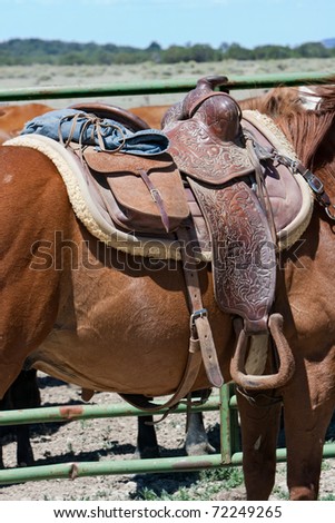 Western saddle on a sorrel horse at cattle roundup.