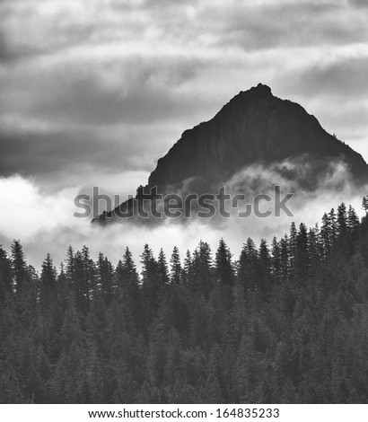 Dramatic Black and White Mountains Forests Fog Fjords Seward Alaska