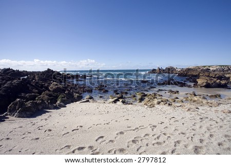 California Coast and Sandy Beach at Asilomar California