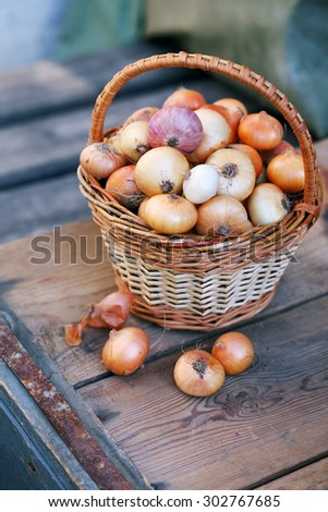 small onion in a wicker basket from vines