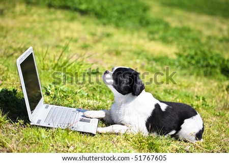 Dog that sees personal computer