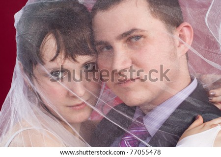 Hugging Couple newlyweds behind wedding veil  isolated