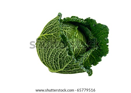 Cabbage Stock foto © 