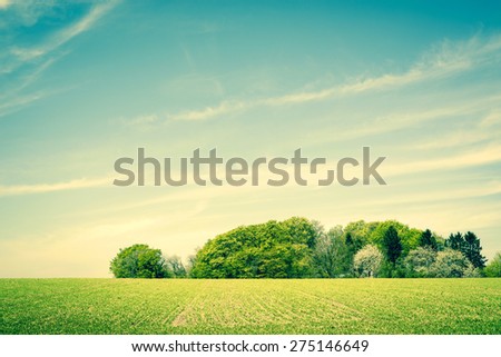 Countryside scenery with green fields and trees