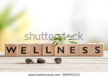 Wellness sign with wooden cubes and flowers and stones Stock foto © 