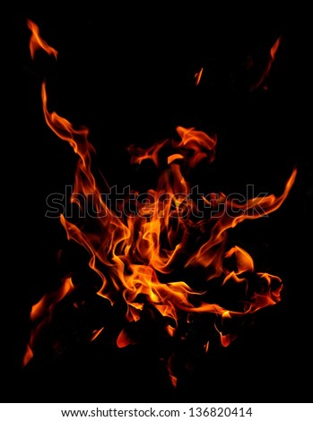 Gold, red and yellow flame on a black background; fiery flower