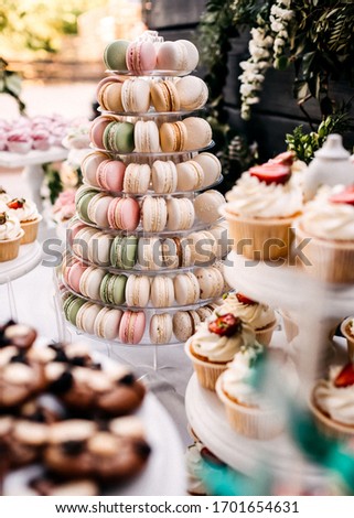 Similar – Image, Stock Photo Candy bar on wedding ceremony with a lot of different cupcakes, modern desserts, mousses and jellies. selective focus