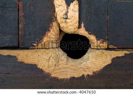 close-up of black hole in old wood door