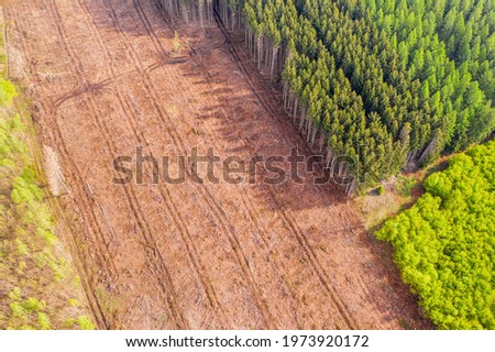 Similar – Image, Stock Photo a felled forest part from above