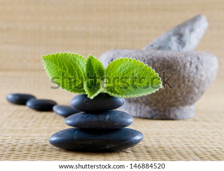 Pestle and mortar, mint leaves with pebbles. traditional asian healing concept.