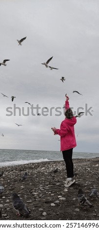 Similar – Foto Bild Mädchen füttert Möwe an der Küste