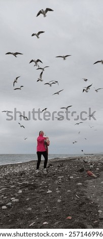 Similar – Foto Bild Mädchen füttert Möwe an der Küste