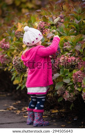 Little girl in bright clothes stand back in autumn garden.  Baby touch bright flowers