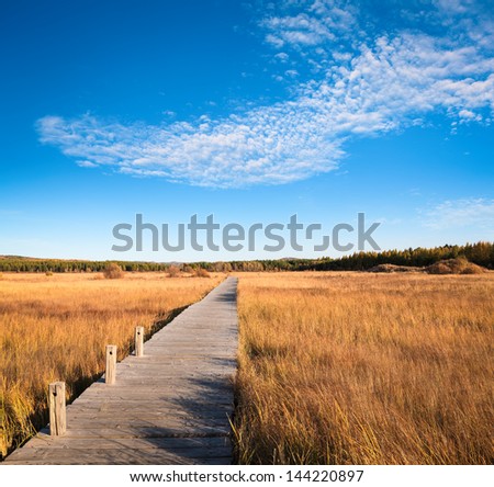 beautiful wetland park in autumn with wooden bridge against a blue sky
