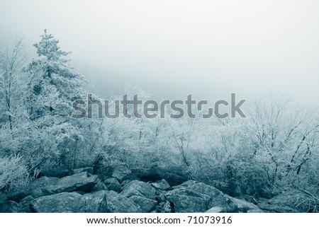 rime ice landscape with fog background