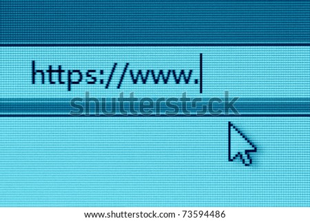 secure website on computer screen