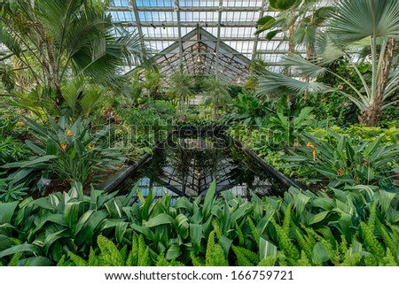 CHICAGO, ILLINOIS - DECEMBER 9: Palm House of the Garfield Park Conservatory on December 9, 2013 in Chicago, Illinois