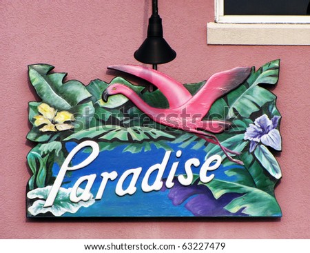 Paradise bird