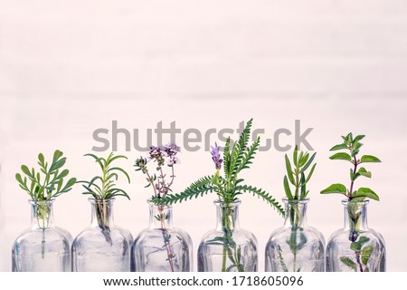 Bottle of essential oil with herbs  oregano, rosemary, lavender flower, Rue herb ,thyme  set up on white background.
