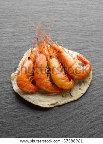 shrimp on the shell of an oyster